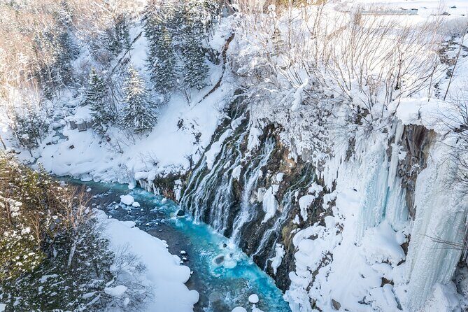 [Late Departure] Biei Best 5 Must-Visit Day Tour from Sapporo - A Deep Dive into the Itinerary and What to Expect