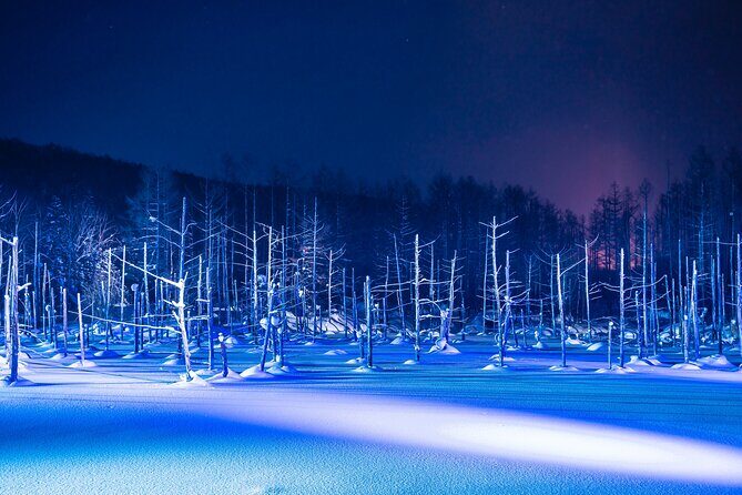 [Late Departure] Biei Best 5 Must-Visit Day Tour from Sapporo - FAQ