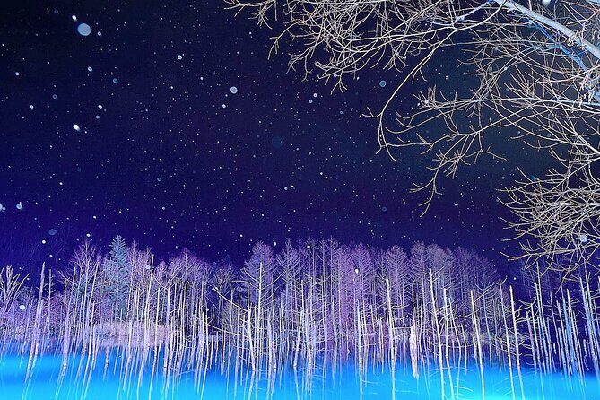 [Late Departure] Biei Best 5 Must-Visit Day Tour from Sapporo - Good To Know