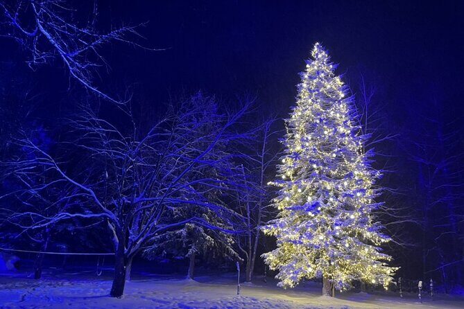 [Late Departure] Biei Best 5 Must-Visit Day Tour from Sapporo - An In-Depth Look at the Tour Experience