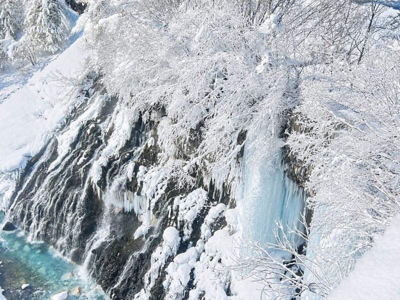 Late Departure | Forest Elf Terrace Illumination, Biei Blue Pond, Farm Tomita, Shikisai no Oka 1-Day Tour (Departing from Sapporo) - Rollercoaster Road and the countryside between stops