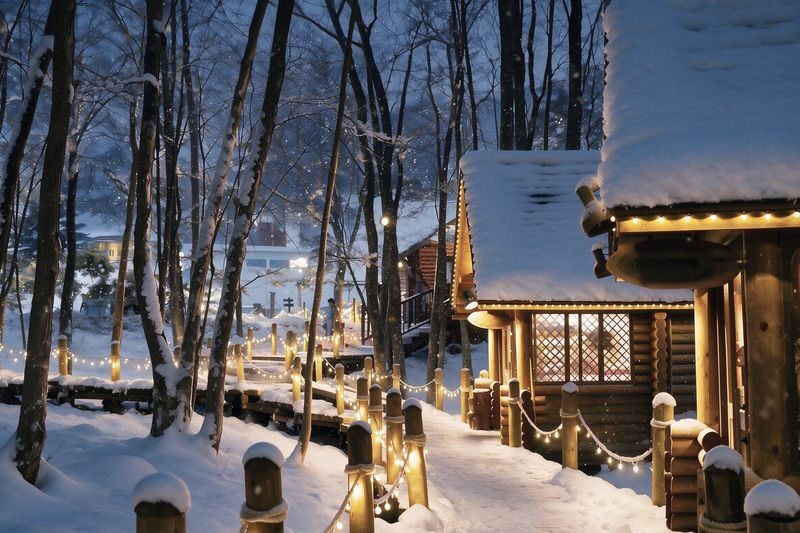 Late Departure | Forest Elf Terrace Illumination, Biei Blue Pond, Farm Tomita, Shikisai no Oka 1-Day Tour (Departing from Sapporo) - Blue water at Shirogane Blue Pond