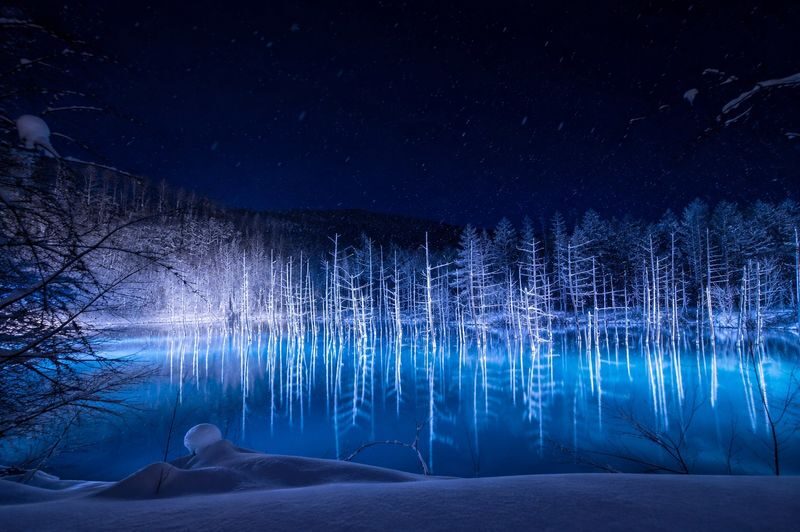 Late Departure | Forest Elf Terrace Illumination, Biei Blue Pond, Farm Tomita, Shikisai no Oka 1-Day Tour (Departing from Sapporo) - What the small group and guide setup mean