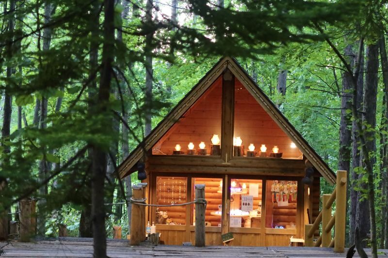 Late Departure | Forest Elf Terrace Lighting & Biei Blue & Shikisai no Oka Day Trip (Departing from Sapporo) - Guides, language and the pace of the group