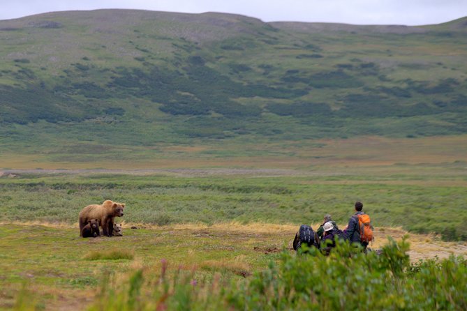 Late Summer Bear Viewing in Katmai National Park - Additional Information