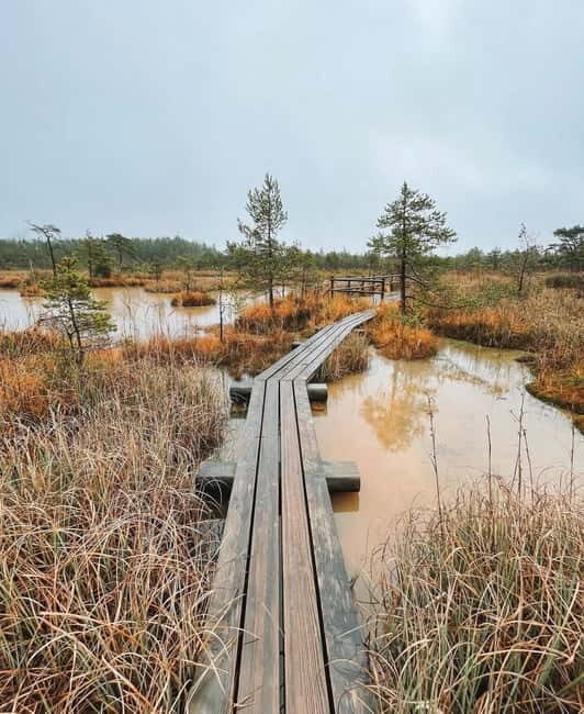 Latvian Landscapes: Kemeri & Jurmala Guided Tour - Good To Know