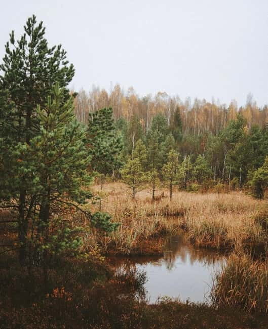 Latvian Landscapes: Kemeri & Jurmala Guided Tour - The Sum Up