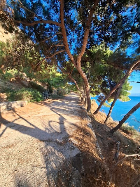 Laugh With Nafplio in Nature - Essential Requirements