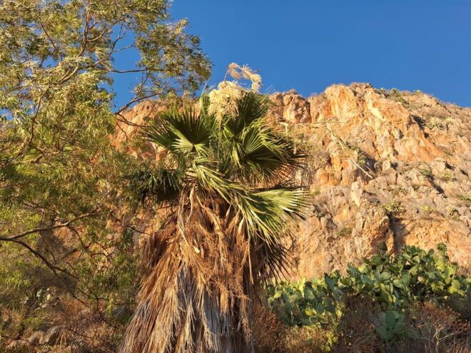 Laugh With Nafplio in Nature - Recommended Items to Bring