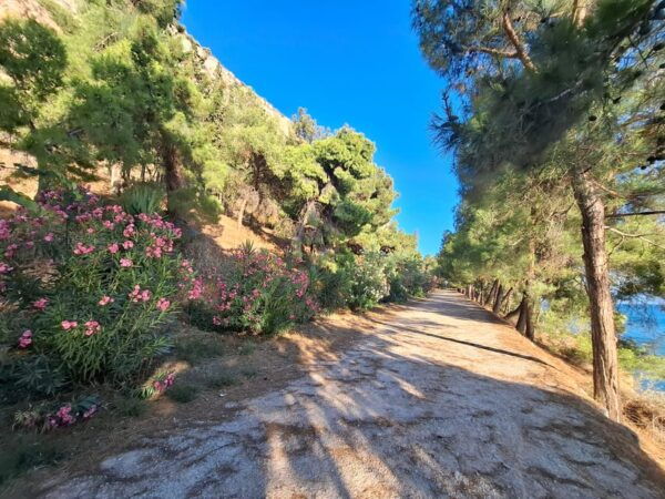 Laugh With Nafplio in Nature - Booking and Cancellation Policy