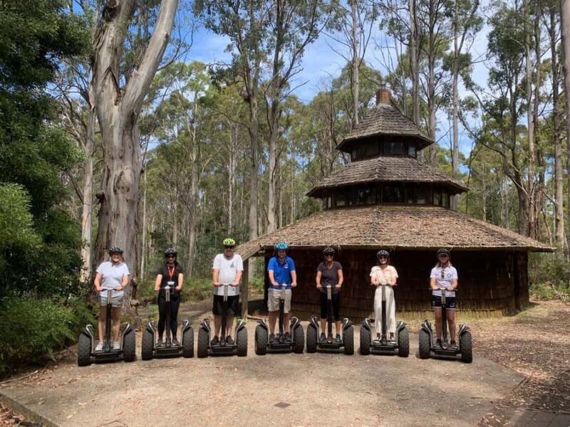 Launceston: Hollybank Forest Guided Segway Tour with Photos - Good To Know