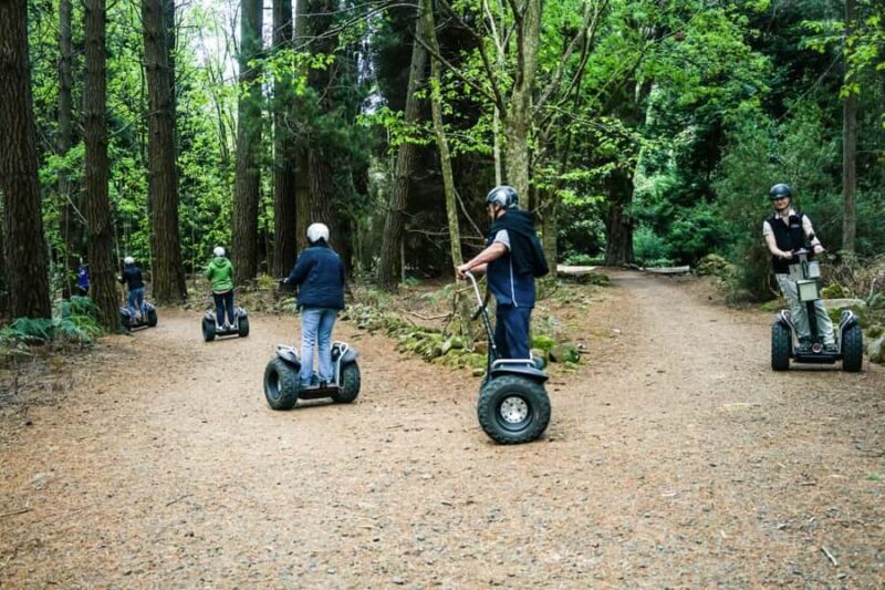 Launceston: Hollybank Forest Guided Segway Tour with Photos - The Itinerary and What to Expect