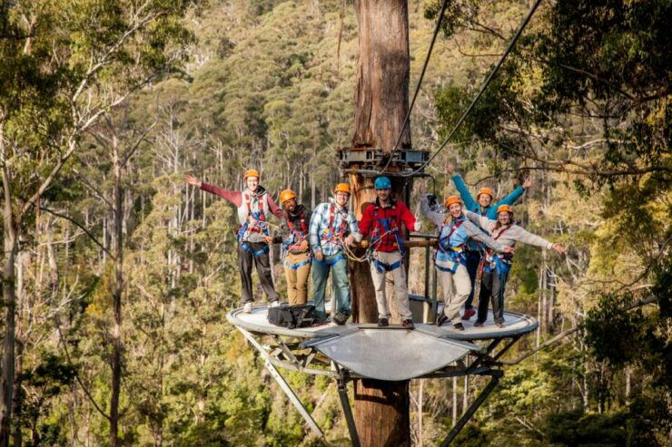 Launceston: Hollybank Forest Treetop Zip Lining With Guide - Booking Details for Hollybank Forest Zip Lining