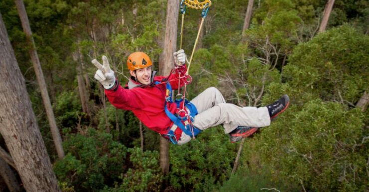 Launceston: Hollybank Forest Treetop Zip Lining With Guide - Experience of Zip Lining in Hollybank Forest