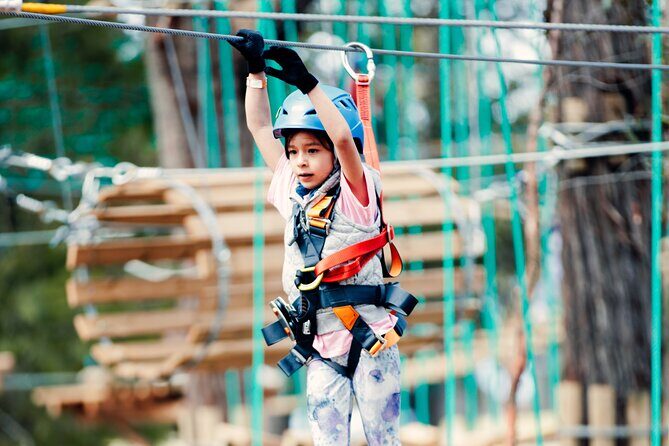 Launceston Hollybank Junior Tree Ropes Course - What to Expect From the Hollybank Junior Tree Ropes Course