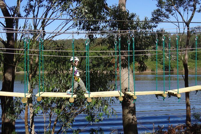 Launceston Hollybank Junior Tree Ropes Course - Practical Tips for Your Visit