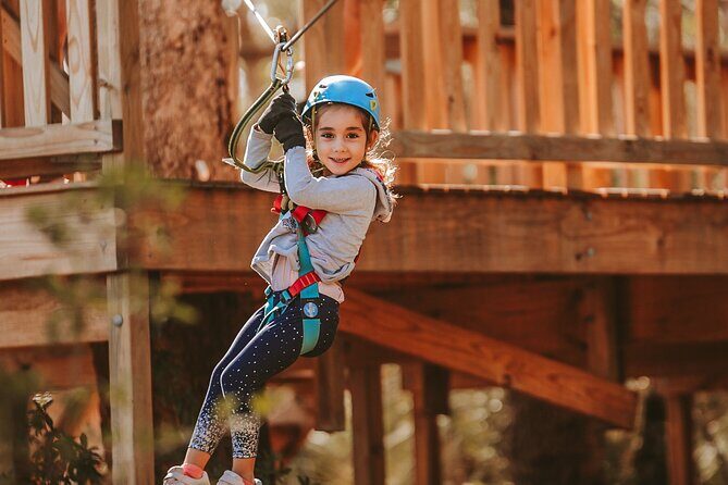 Launceston Hollybank Junior Tree Ropes Course - Is It Worth It?