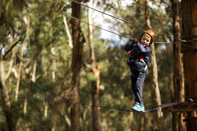 Launceston Hollybank Junior Tree Ropes Course - Who Will Love This Experience?