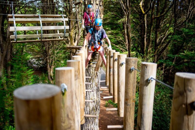 Launceston: Hollybank Tree Ropes Course - FAQ