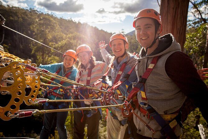 Launceston Hollybank Tree Ropes Experience - An In-Depth Look at the Hollybank Tree Ropes Experience