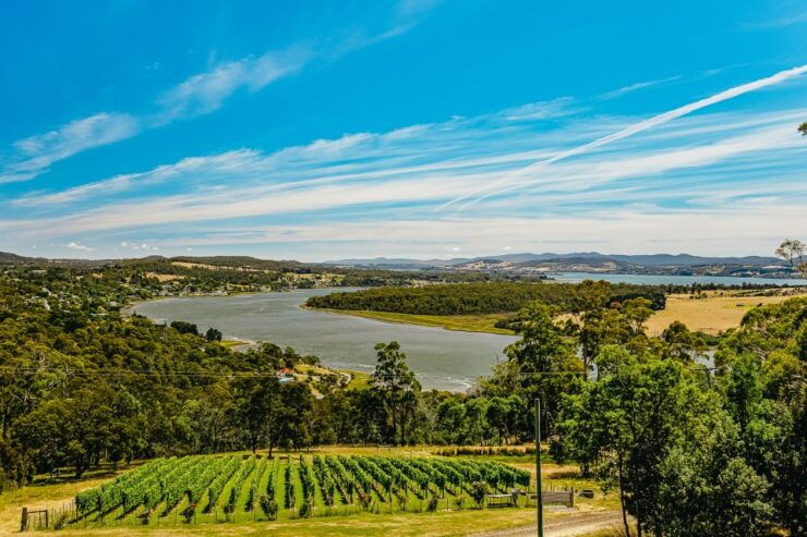 Launceston: Tamar Valley Wine Tour With Lunch - Tour Highlights