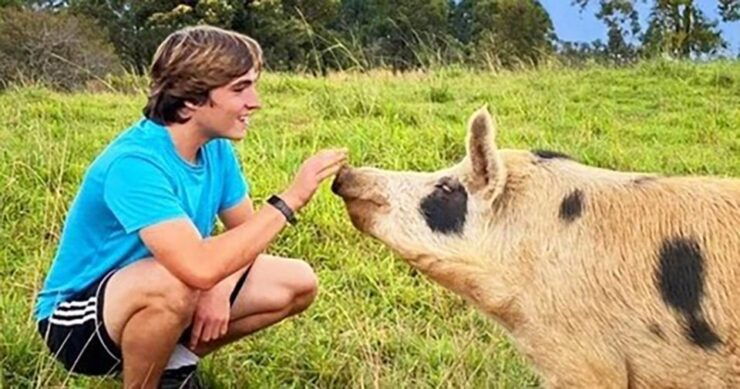 Laupahoehoe: Farm Animal Sanctuary Private Tour - Booking Details