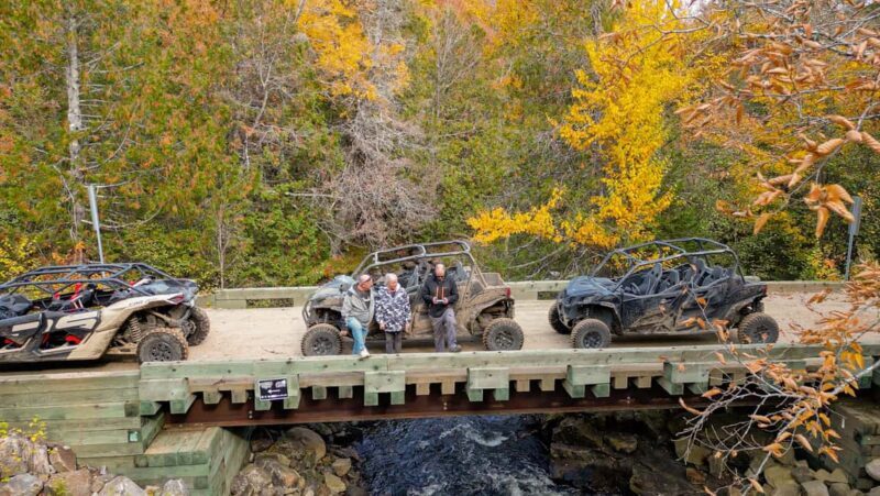 Laurentians: guided buggy tour - Who Will Love This Tour?
