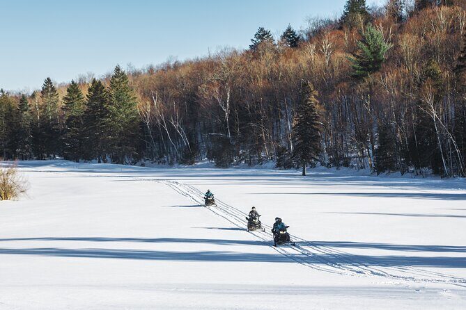 Laurentians: Guided excursion by snowmobile - Who Will Love This Tour?