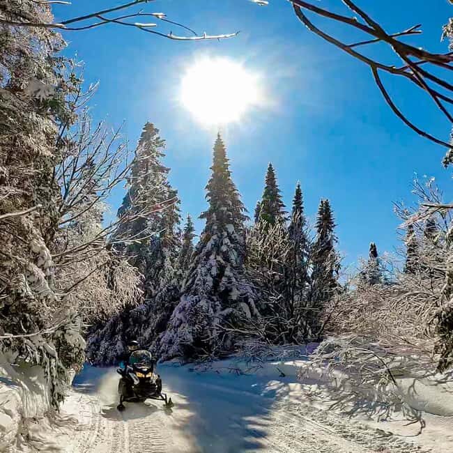 Laurentians: Snowmobile Guided Tour - Good To Know