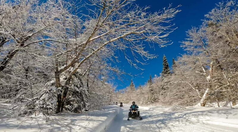 Laurentians: Snowmobile Guided Tour - Who Is This Tour Best For?
