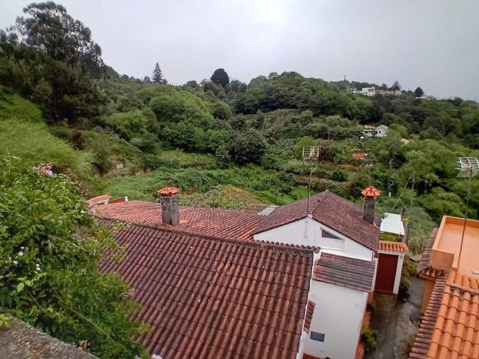 Laurisilva Forest: Hiking and Canarian Cider Tasting - Frequently Asked Questions