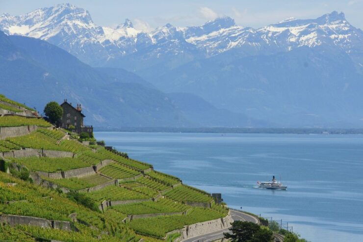 Lausanne: 2-Hour Lake Geneva Cruise Along Lavaux Vineyards - Experience Highlights