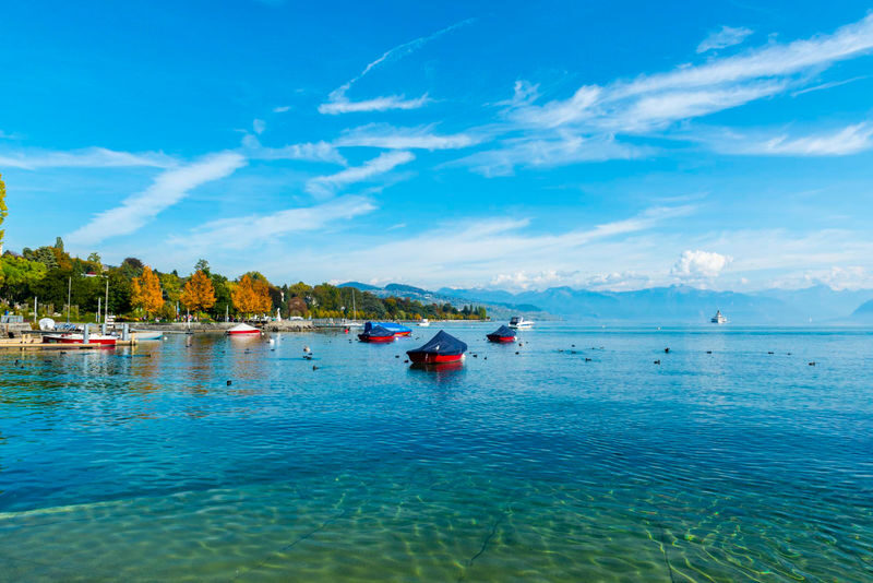 Lausanne: 60-minute Express Walking Tour with a Local - The useful details at a glance