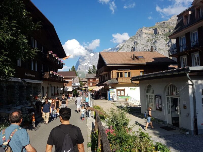 Lauterbrunnen and Mürren Small Group Day Trip - Who Will Love This Tour?
