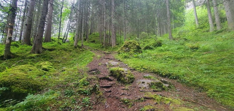 Lauterbrunnen: Private Walking Tour with an Irish Guide - Who Would Enjoy This Tour?