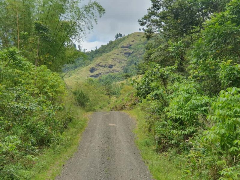 Lautoka: Abaca Waterfall Hike and Swim Day Trip - Good To Know