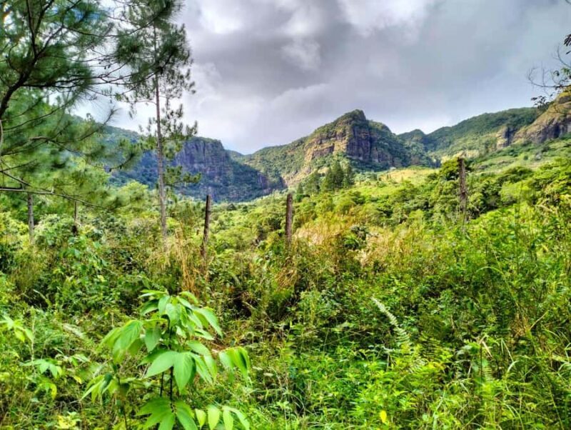 Lautoka: Abaca Waterfall Hike and Swim Day Trip - An In-Depth Look at the Abaca Waterfall Hike and Swim Tour