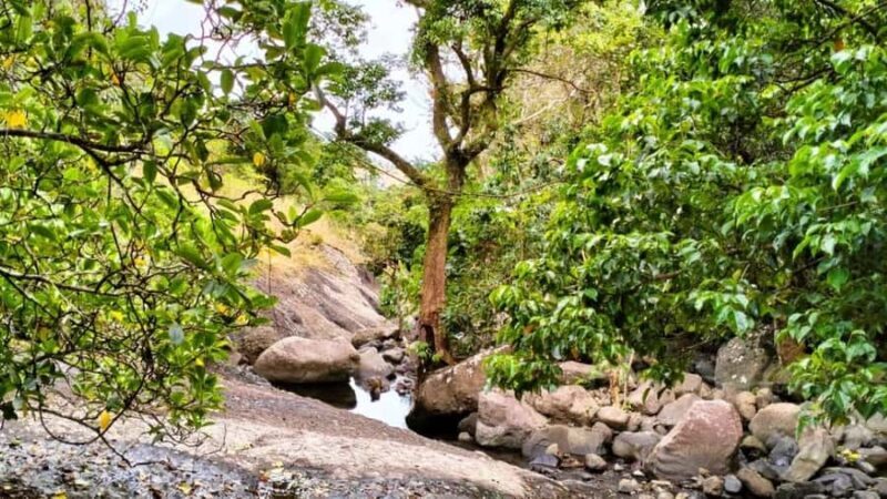 Lautoka: Abaca Waterfall Hike and Swim Day Trip - FAQs