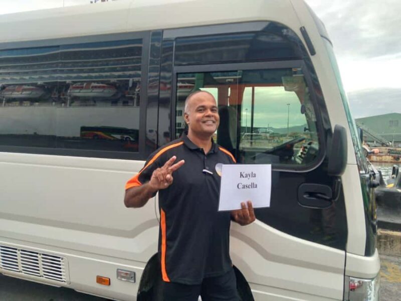 Lautoka Cruise Ship to Natadola Beach Round Trip - Who Will Enjoy This Tour?