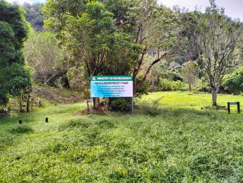 Lautoka CruiseShip Port to Abaca Waterfall Hiking Round Trip - Detailed Review of the Lautoka to Abaca Waterfall Tour