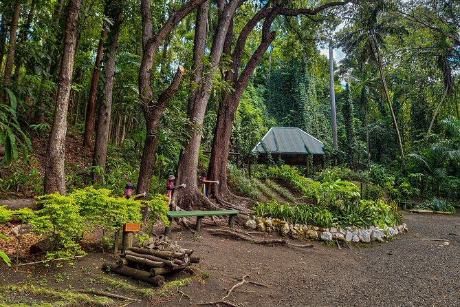 Lautoka Orchids & Village Life: Private Shore Tour 4 Hours - Who Will Appreciate This Tour Most?