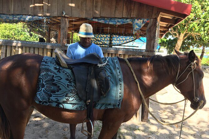 Lautoka Shore Excursions to Natadola Beach Round Trip - Overview of the Experience