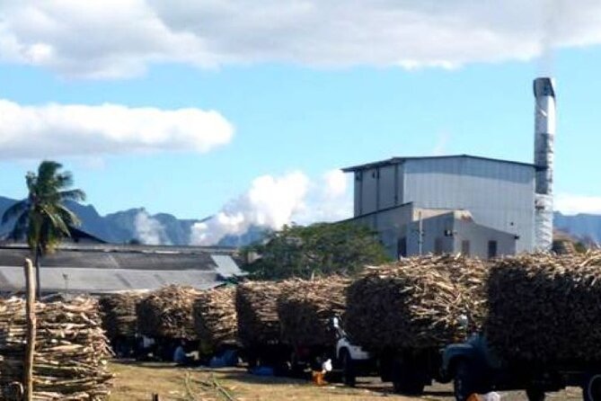 Lautoka Sightseeing & Shopping - Tour Highlights