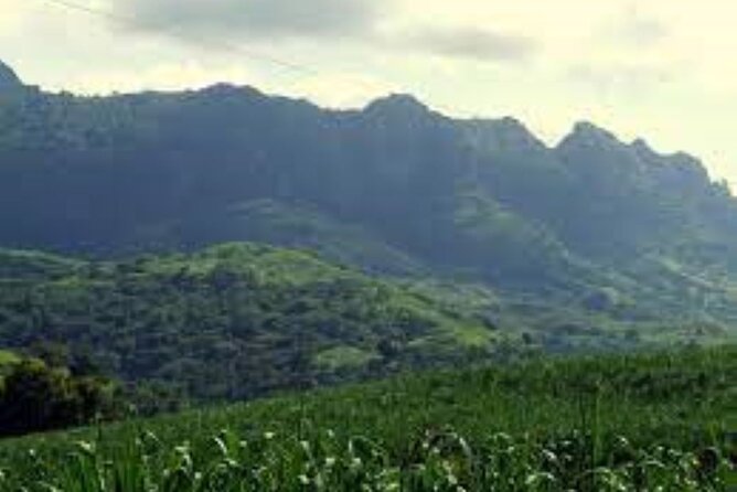 Lautoka Sightseeing & Shopping - Transportation and Logistics