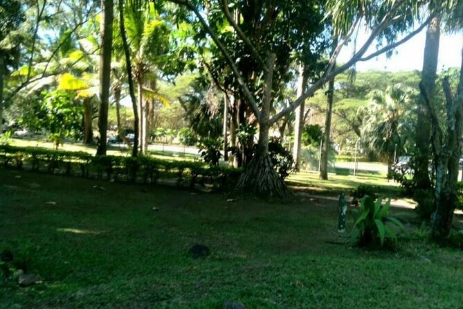 Lautoka Sightseeing & Shopping - Explore Fiji Rum Factory and Lautoka Sugar Mill