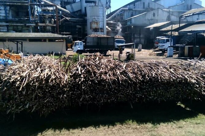 Lautoka Sightseeing & Shopping - Experience the Lautoka Fruits and Vegetable Market