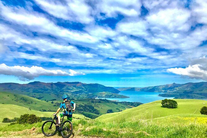 Lava Loop- Guided electric mountain bike tour in Akaroa - Introduction