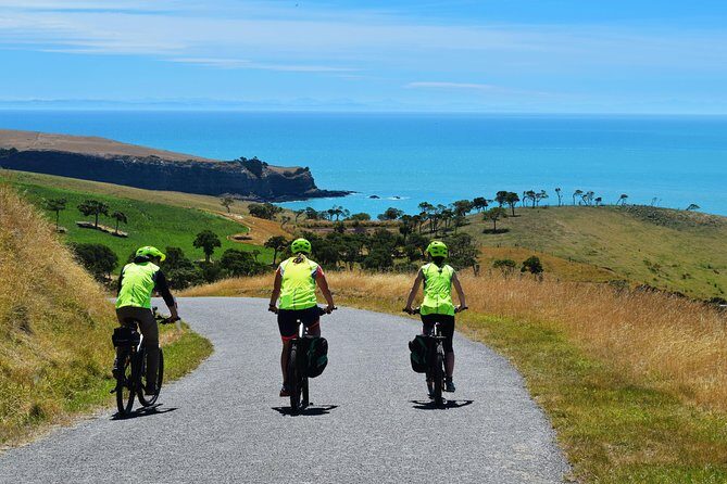 Lava Loop- Guided electric mountain bike tour in Akaroa - Practical Details & Considerations