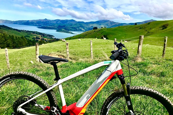 Lava Loop- Guided Electric Mountain Bike Tour in Akaroa - Common Questions