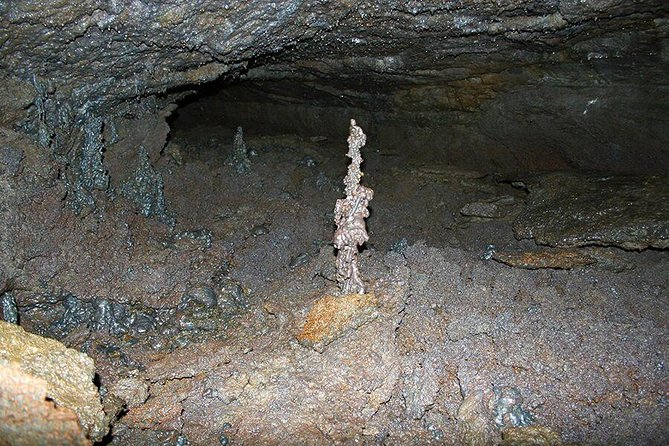 Lava Tunnel Caving With Transfer Small Group - Pricing Details for the Experience